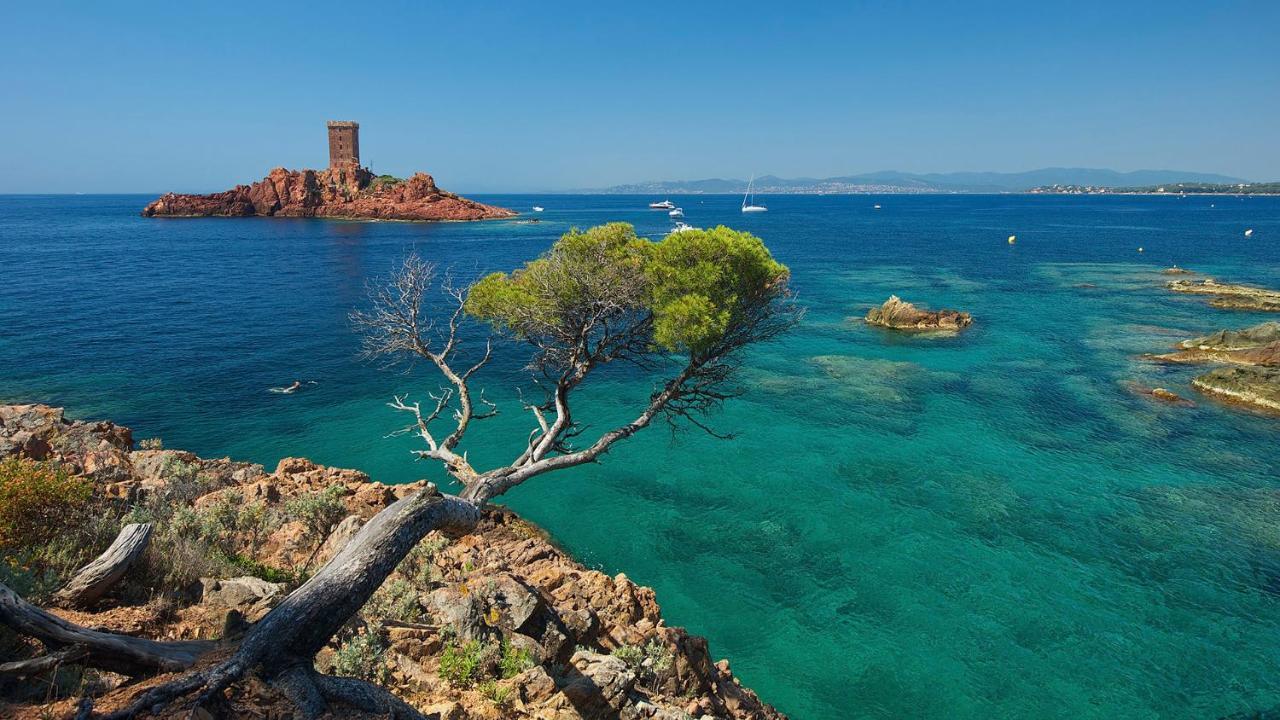 Appartement Zen A Frejus Avec Jardin, Piscine, Tennis, Proche Mer Esterno foto